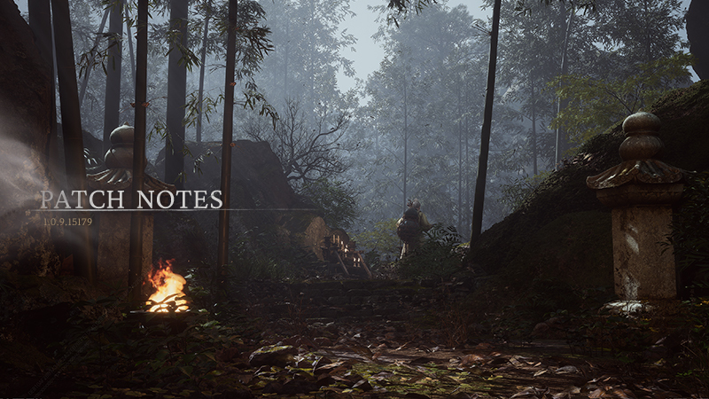 black myth: wukong 1.0.9.15179 patch notes