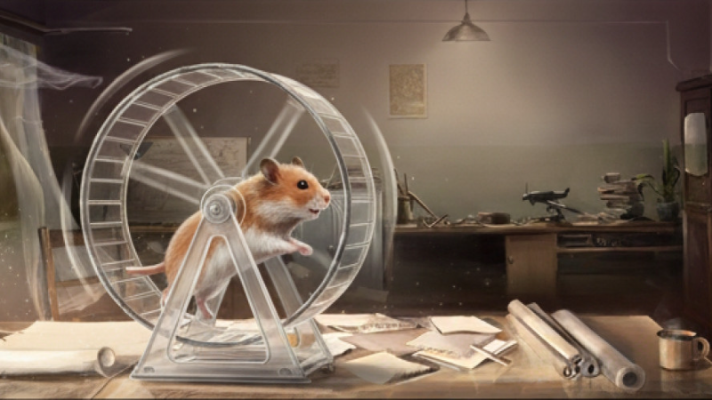 scheduled hamster maintenance 01.04.2026