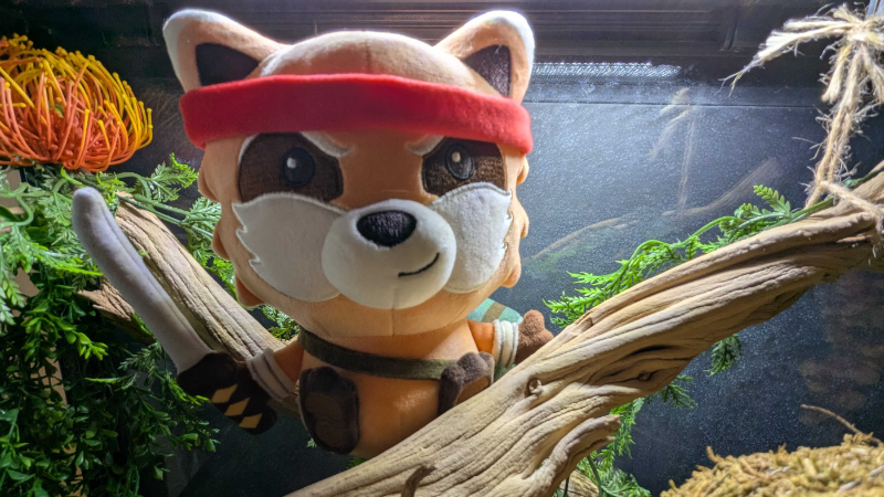 charity merch update